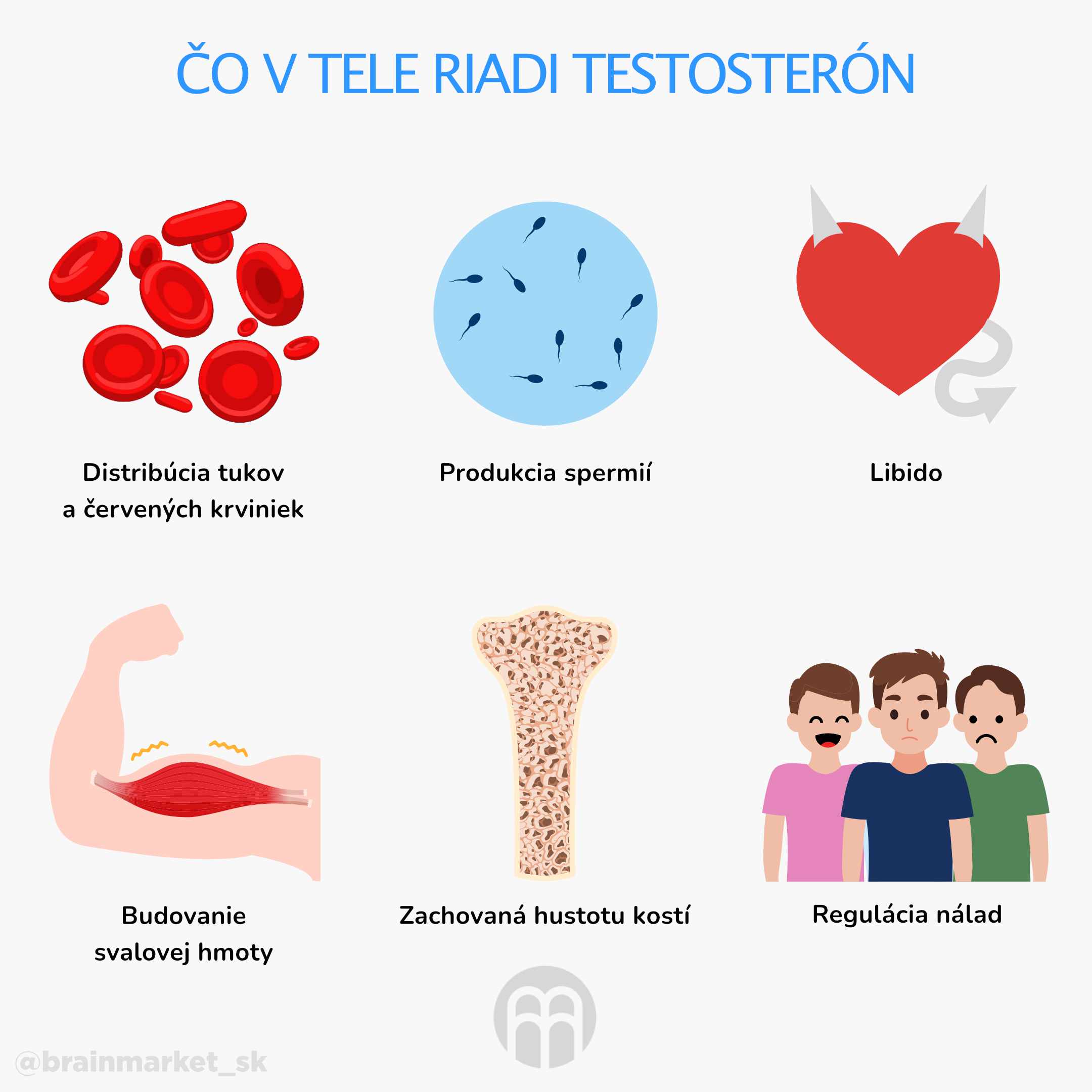 čo v tele ridi test0sterón_infografika_sk